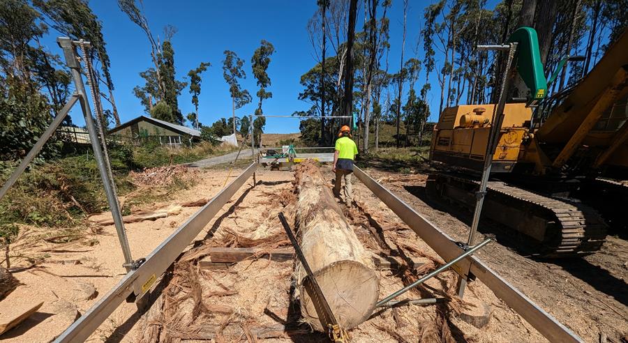 FairWood-TreeSalvage-milling - CERES Fair Food Milling fallen trees with CERES Fair Wood