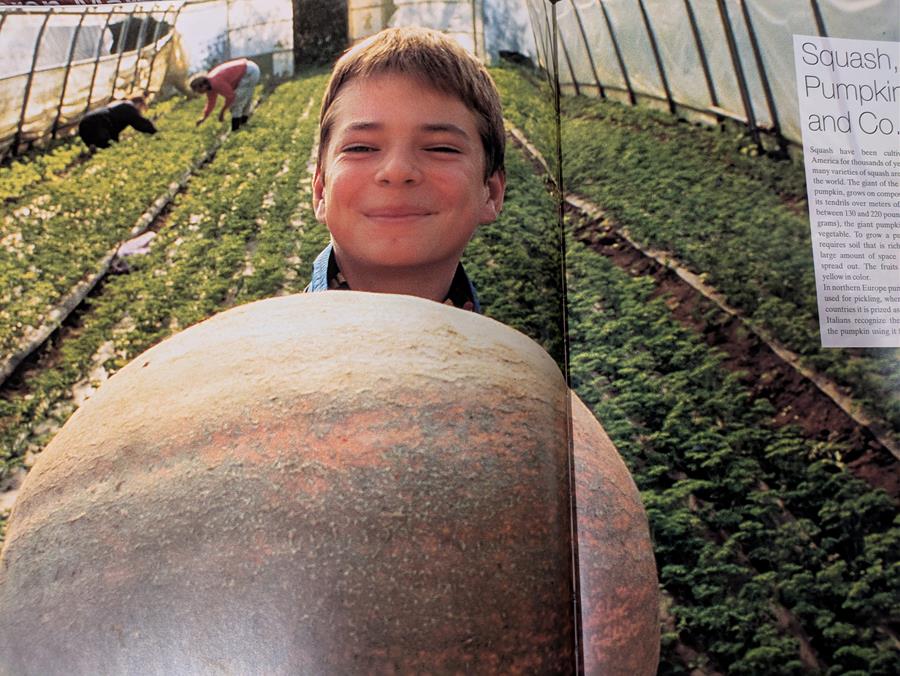A magazine photo of a child smiling in a polytunnel, holding a large pumpkin