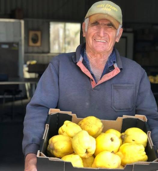 Adrian Martin, holding a cardboard box of fresh picked quinces - Spring Mill Orchard