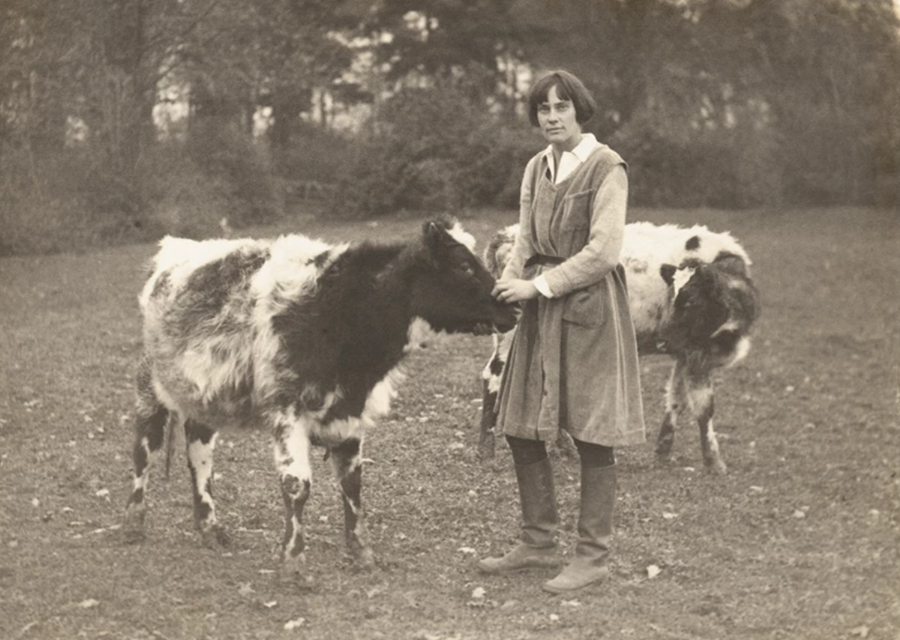 Eve Balfour, early photo standing with 2 cows