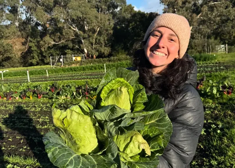 Rachel holding cabbages at Joe's market garden