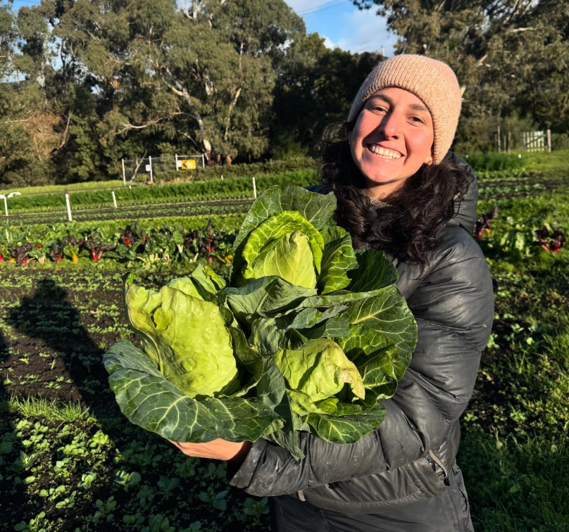 Rachel-cabbage-at-Joes - CERES Fair Food Farmer Rachel wearing a beanie and warm jacket, holding several cabbages and standing in the market garden, Joe's Garden, Coburg.