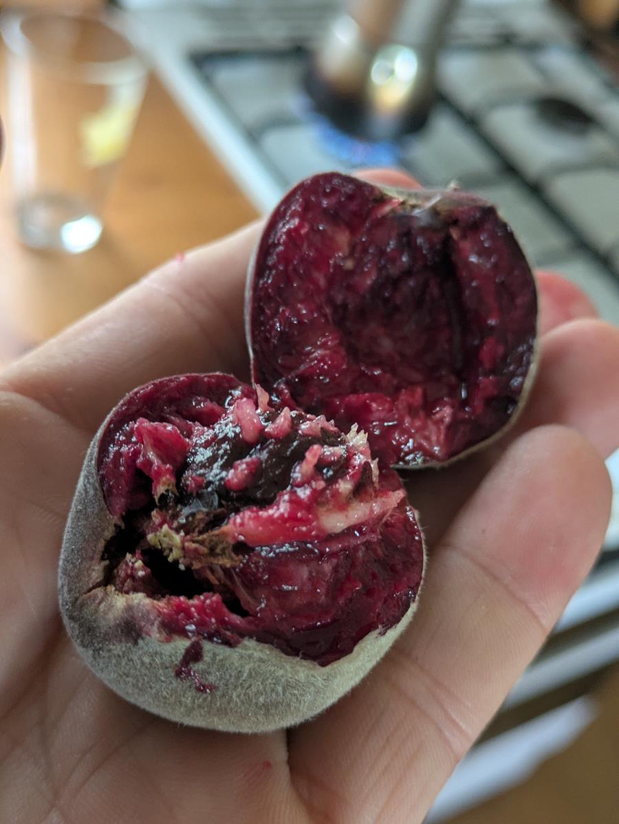 Blood peach, home grown red fleshed peach