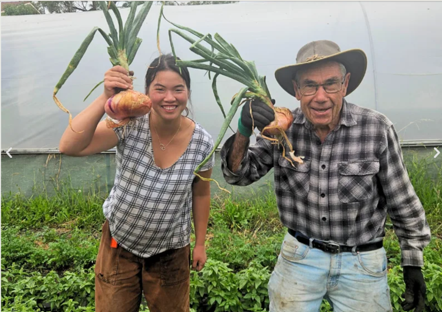 Vince-and-Thanisa_JoesGarden - CERES Fair Food Thanisa and Vince holding up large onions from the farm, they are standing in the market garden in front of the poly tunnel.