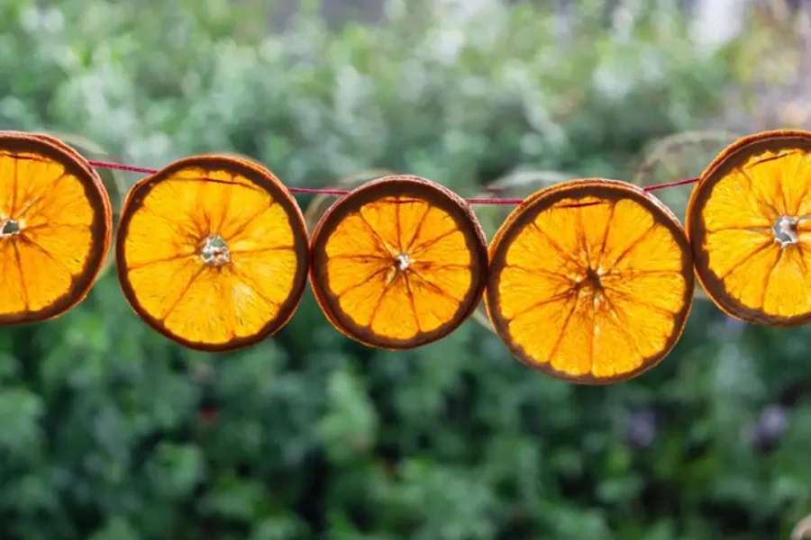 Dried orange festive garland